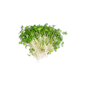 Fenugrec