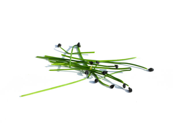 Ail